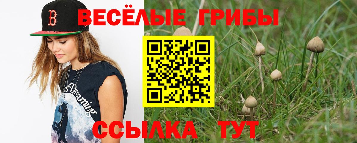 Галлюциногенные грибы Magic Shrooms Котельники