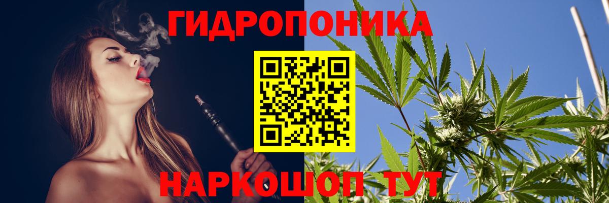 Бошки Шишки план Котельники